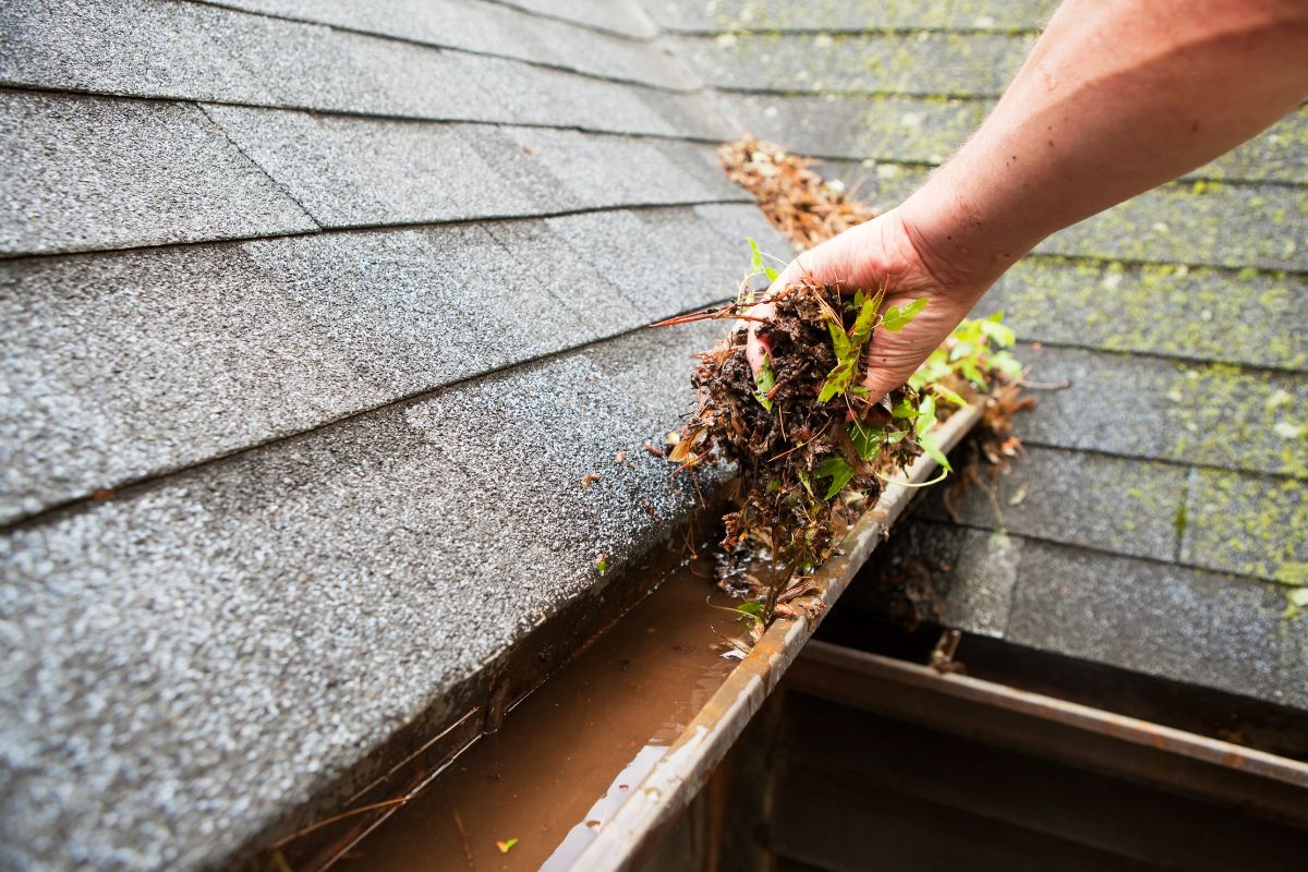 A Comprehensive Guide To DIY Gutter Cleaning And Maintenance