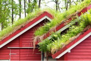 Maintenance Green Roof